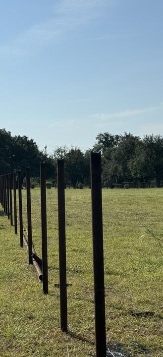 Row of steel fence posts set in a field